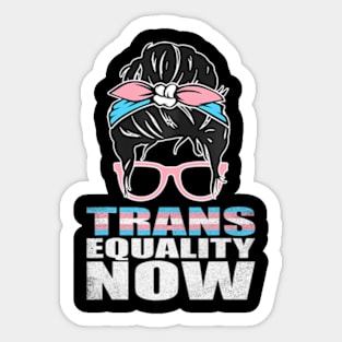 Trans Equality Now Trans Pride Flag, LGBT, LGBTQ Pride Sticker